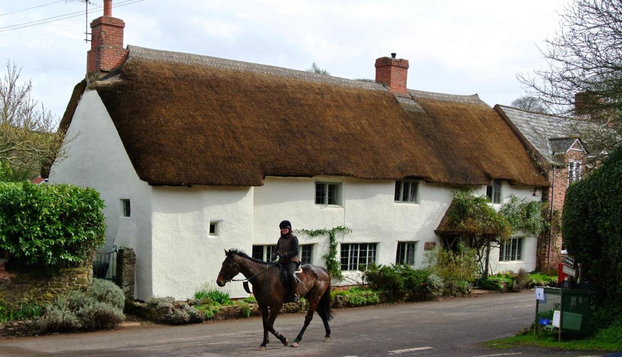 Notley Arms Inn Exmoor National Park Elworthy Экстерьер фото