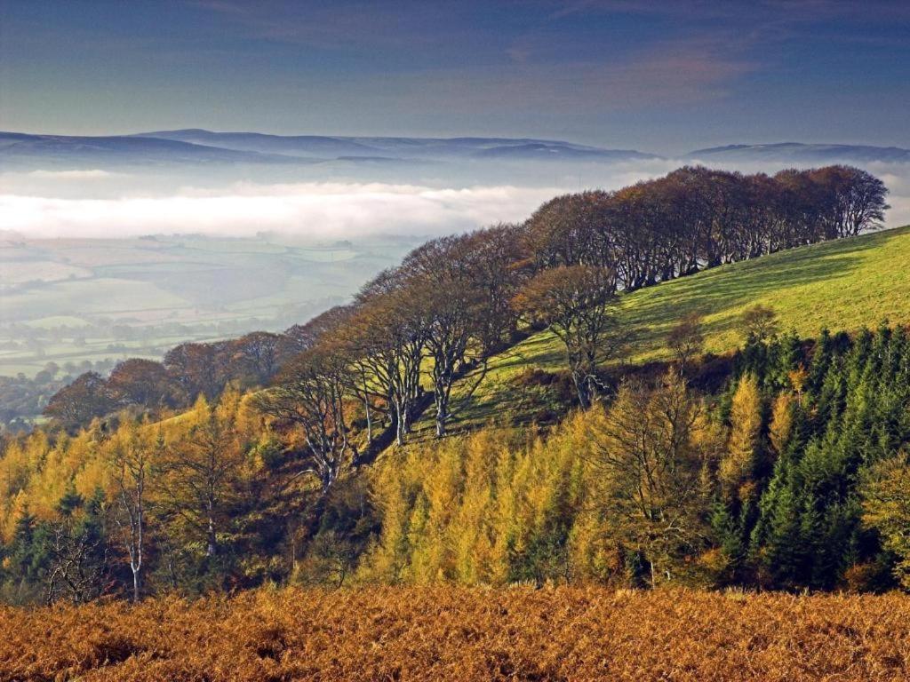Notley Arms Inn Exmoor National Park Elworthy Экстерьер фото