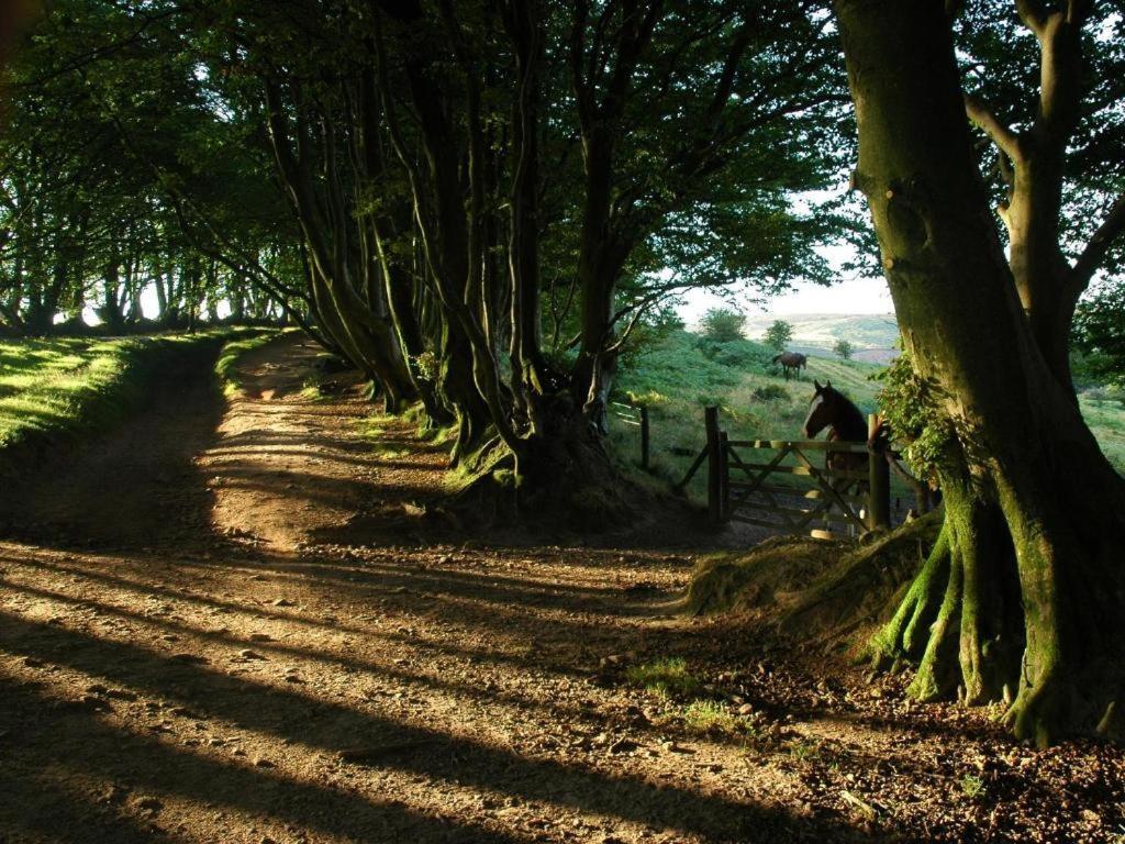 Notley Arms Inn Exmoor National Park Elworthy Экстерьер фото
