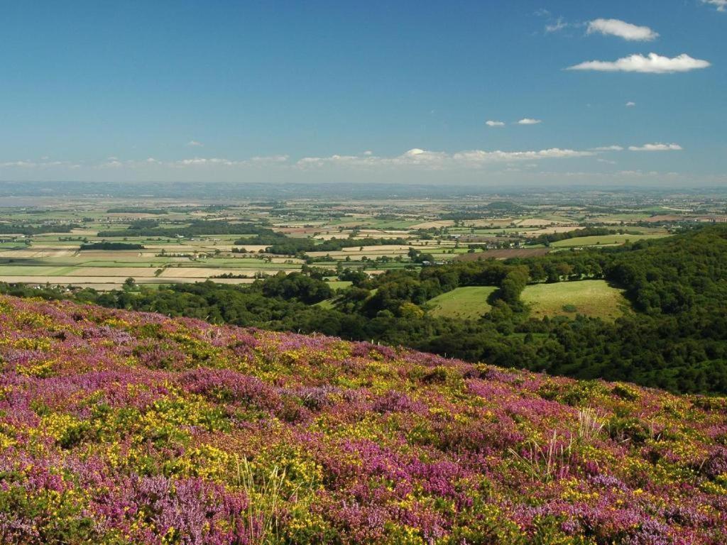 Notley Arms Inn Exmoor National Park Elworthy Экстерьер фото